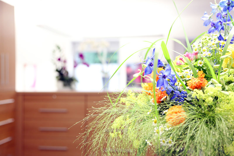 Praxis Stefanie Asche-Braun in Walldürn